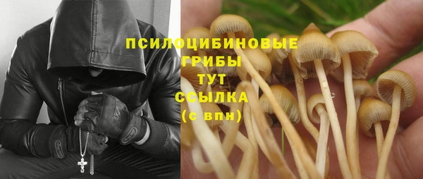jwh Богородск