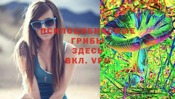 jwh Богородск